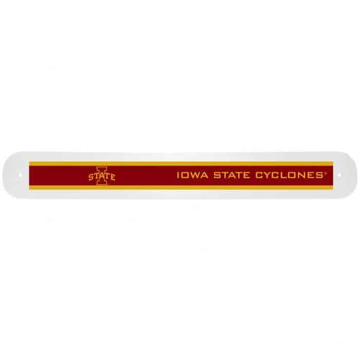 Iowa St. Cyclones Travel Toothbrush Case