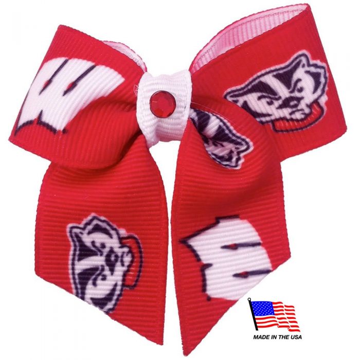 Wisconsin Badgers Pet Hair Bow