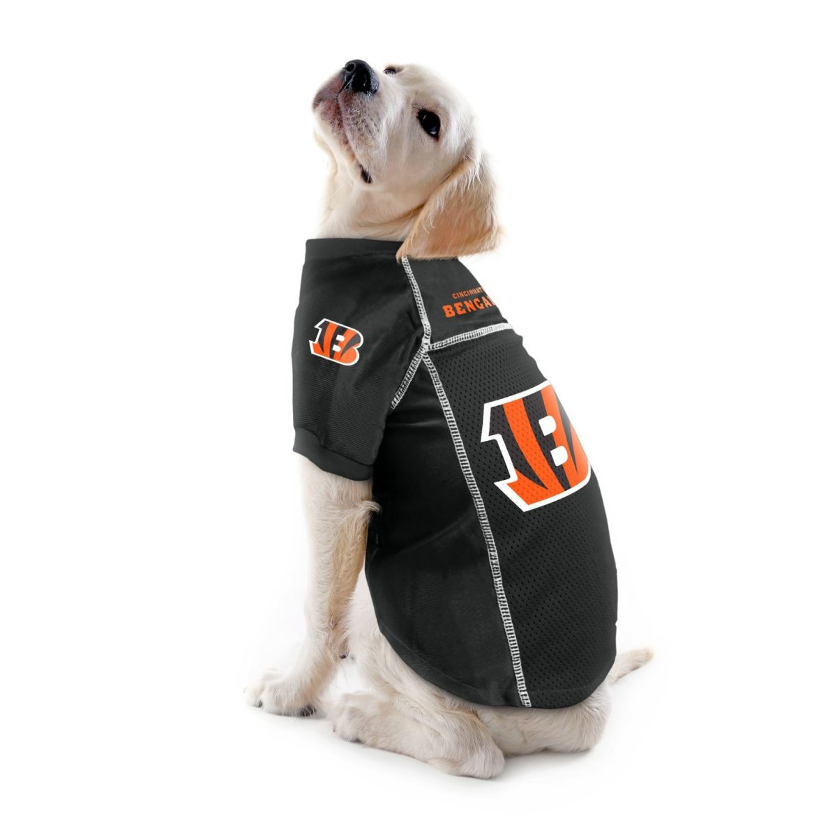 Bengals Jersey For Dog
 Cincinnati Bengals Pet Mesh Jersey – Fanhood Gear